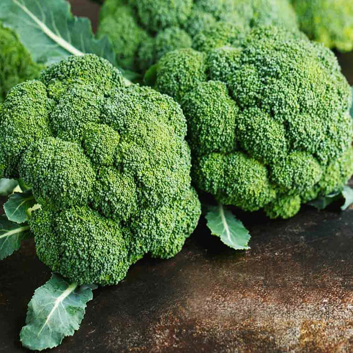 Broccoli Seeds F1 Hybrid - 150 Seeds (Hari Gobhi/हरी गोभी/ब्रोकली के बीज)