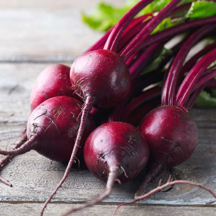 Beetroot (chukandar) Seeds - 150 Seeds (चुकंदर के बीज)