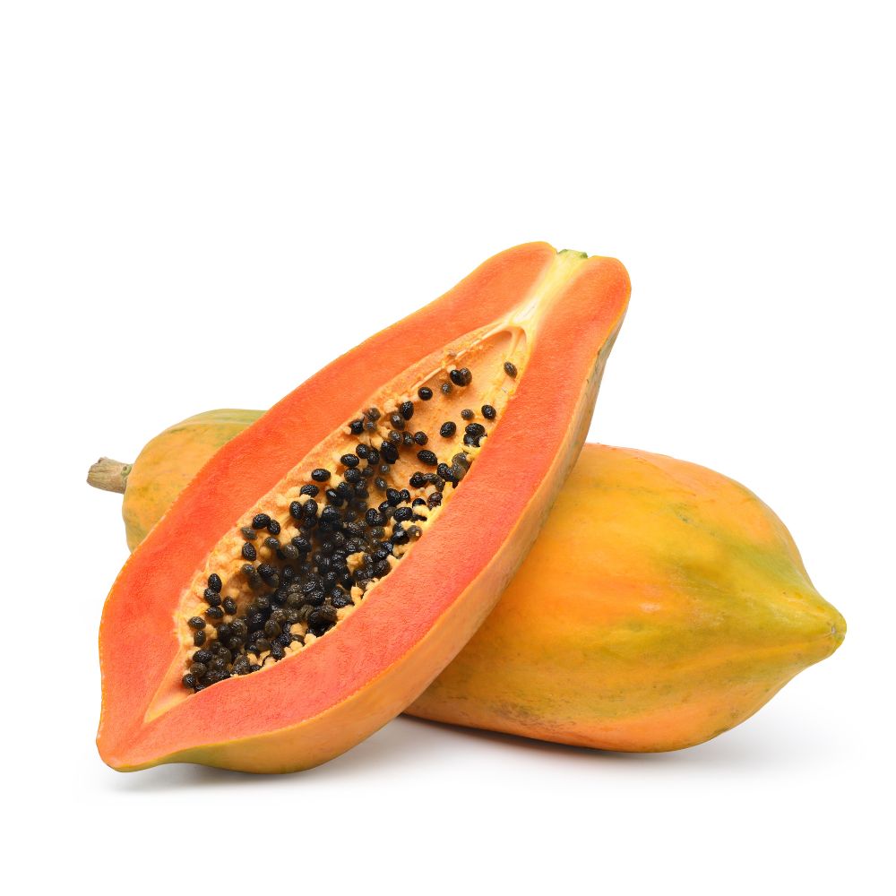 Red Long Papaya F1 Hybrid Seeds - 10 Seeds (Papita/पपीता के बीज)